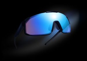Lunettes Revo - Modèle Polar