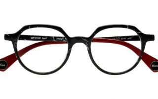Lunettes-WOOW_GETHIRED1_col2150